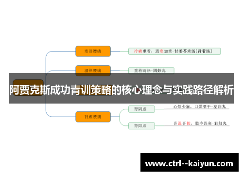 阿贾克斯成功青训策略的核心理念与实践路径解析
